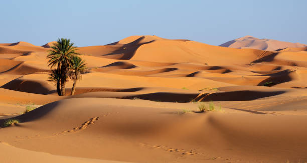 Morocco. Sand dunes of Sahara desert